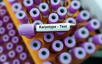 © Adobe Photo Stock