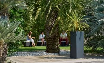 © Ma Boîte à Moustique