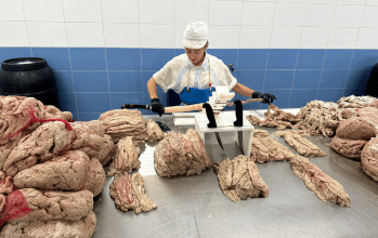 Boyauderie des Savoie