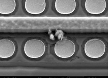 Microtech Laboratories