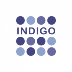 INDIGO CAPITAL