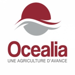 Ocealia