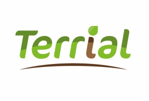 Terrial