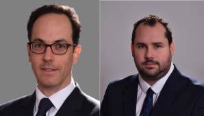 Ghislain de Seze - Louis Darrieus, Alvarez & Marsal