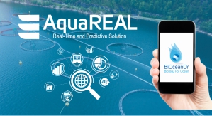 © BiOceanOr © BiOceanOr