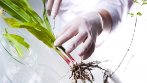 Crédits : Galys Crédits : Galys