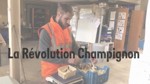© La Révolution Champignon