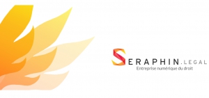 © Seraphin.legal